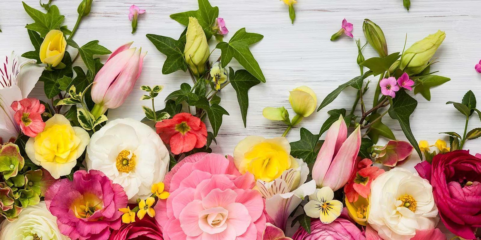 Snijbloemen van het seizoen: zegt de kweker? - Bloemen en planten groothandel Roobos