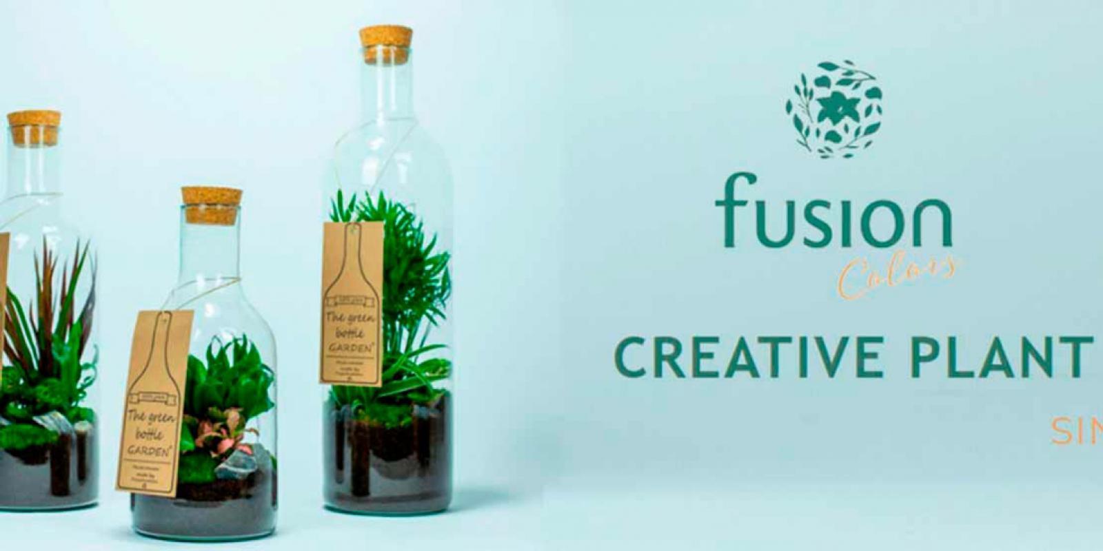 Fusion Colours